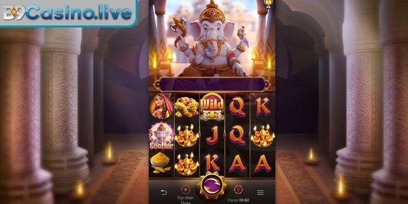 Nghiên cứu mức cược và cơ chế thưởng