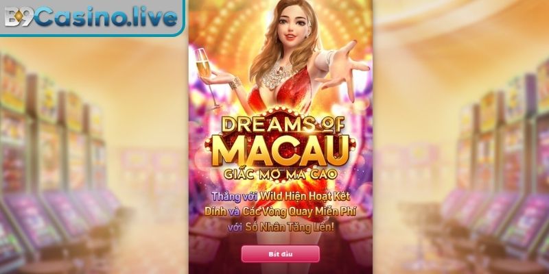 Trải nghiệm giấc mơ ma cao B9Casino
