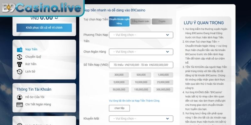 Nạp tiền B9CASINO – Hướng Dẫn Thao Tác Và Mẹo Giao Dịch An Toàn 1 Dịch vụ nhanh chóng và an toàn